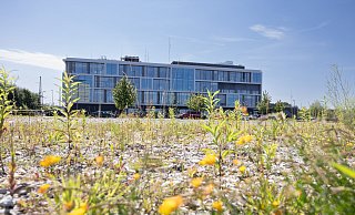 Zwischen dem Campus Handwerk (hinten) und dem Kreisverkehr an den Stadtwerken liegt die Brache, die bald bebaut werden soll. - Oliver Krato