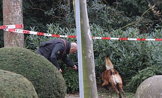 Gegen Mittag wurde auch ein Mantrailer-Hund in die Ermittlungsarbeit der Kriminalpolizei angebunden. Dafür wurden beide Fahrspuren im Bereich der Unterführung komplett gesperrt. - Claus Frickemeier
