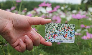 Die Dauerkarten-Rabattaktion in Höxter endet. - LGS Höxter