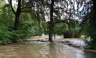 Schwerpunkte der starken Regenfälle waren die Ortsteile Hüllhorst, Ahlsen, und Oberbauerschaft. - Feuerwehr Hüllhorst