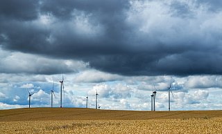 Sonne und trockenes Erntewetter wären aus seiner Sicht nun schöner als tagelanger Regen. - Jens Kalaene