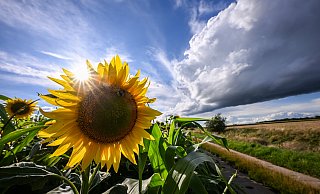 Hat der Sommer 2023 seinen Namen verdient? NRW zieht Bilanz, denn es gibt auch Gewinner. - Jens Kalaene