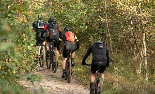 Eine Tour mit dem E-Mountainbike endet für einen 14-jährigen Bürener mit einem schweren Sturz. Seine jungen Begleiter helfen tatkräftig. (Symbolbild) - Pixabay/sabinevanerp
