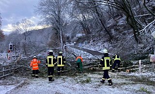 Mehrere Bäume musste die Feuerwehr Vlotho am Freitag und Samstag von der Straße räumen. - Feuerwehr Vlotho
