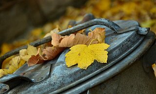 Der Senior deponierte mehrfach Geld in Mülleimern - die Betrüger suchten jeweils mit der Beute das Weite. - Pixabay