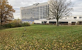 Auf der Fläche am Klinikum will die Arbeitsgemeinschaft Klimaschutz die Weinreben anpflanzen. - Corina Lass