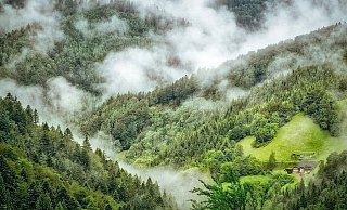 Der Schwarzwald: eine riesige und undurchdringliche Region. - Themenbild: Pixabay