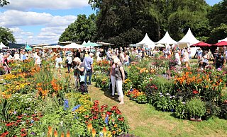 Pflanzen stehen beim Gartenfest Corvey im Vordergrund, es gibt aber noch viel mehr zu sehen und zu kaufen. - Simone Flörke Pflanzen stehen beim Gartenfest Corvey im Vordergrund, es gibt aber noch viel mehr zu sehen und zu kaufen. - Simone Flörke