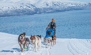 Katharina Koch-Hartke nahm in Skandinavien an Langdistanz-Schlittenhunderennen statt. - Michael Törnkvist