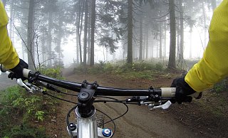 Mountainbiker sind gern im Wald unterwegs. Dabei scheuchen sie mitunter Tiere auf. - Pixabay