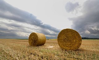 Hinter Strohballen auf einem Feld ziehen dunkle Wolken auf. - picture alliance/dpa