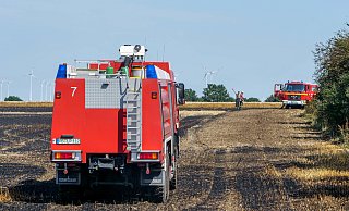 Im Bereich der Panzerringstraße bei Hövelhof ist es am Montag zu einem Flächenbrand gekommen. - (Symbolfoto) Ralph Meyer