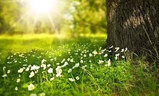 Die Temperaturen im Kreis Herford steigen und die Sonne kommt immer öfter raus. - Symbolfoto: Pixabay/Larisa-K