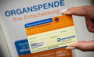 Neben dem Organspende-Ausweis gibt es nun auch ein Organspende-Register, in das man sich eintragen kann. - Michael Kappeler