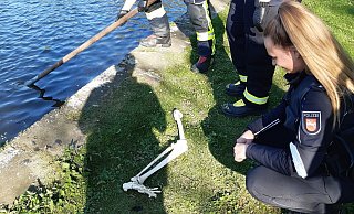 Polizeikommissarin Hannah Ehlert identifiziert das Bein als Teil eines Schulskeletts. - Polizei Holzminden