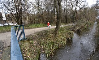 Südlich des Verler Sees (im Hintergrund) fließt der Ölbach. Seine Renaturierung, ebenso die des Sees, hat der Rat in einem Konzept vor drei Jahren beschlossen. Dafür sind die Grundstücke vorgesehen, die die Stadt jetzt kaufen möchte. Grüne, SPD und FWG haben angesichts der Ablehnung der Bürger, sich für die Ausrichtung der Landesgartenschau 2029 zu bewerben, Zweifel. - Thoering33161 Hoevelhof