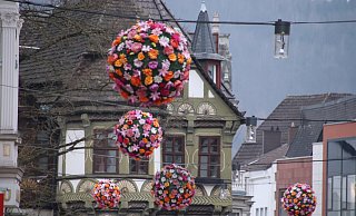 Durch die Blumenschau hat Höxter an Attraktivität gewonnen. - David Schellenberg (Symbolbild)