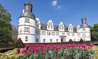 Der Neuhäuser Schlosspark sollte den passenden Rahmen für das Europaschützenfest geben. - Niklas Tüns