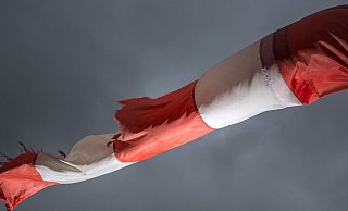 Es treten laut DWD Sturmböen mit Geschwindigkeiten zwischen 55 und 65 km/h aus westlicher Richtung auf. - Michael Reichel / picture alliance / dpa