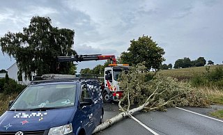 Ein Baum liegt quer auf der Straße. - Andreas Sundermeier
