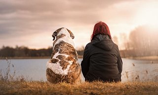 Viele Menschen haben eine ganz besondere Beziehung zu ihrem Haustier. Es ist Familienmitglied, bester Freund und Zuhörer. Wenn das geliebte Haustier stirbt, ist das schmerzvoll und viele wünschen sich dann einen besonderen Abschied vom treuen Begleiter. - Seaq68/Pixabay
