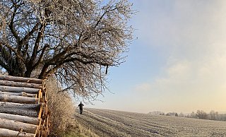 Es könnte noch einmal frostig werden, aber am Tag pendeln sich die Temperaturen knapp über dem Gefrierpunkt ein. - Heike von Schulz