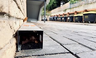 Eine Rattenfalle mit Giftködern wartet auf den Besuch der Nager. - Stefan Becker