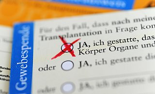 Die Rückseite eines ausgefüllten Organspendeausweises. Das Zustimmungsfeld ist angekreuzt. - Marie Reichenbach/dpa