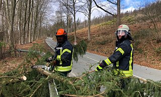Feuerwehrleute der Löschabteilung Brackwede (Foto) und viele ihrer Kollegen waren am Wochenende ununterbrochen unterwegs, um wieder für freie Straßen zu sorgen. Hier auf der Osningstraße gab es eine Reihe von umgestürzten Bäumen, die beseitigt werden mussten – eine schweißtreibende und teilweise gefährliche Aufgabe. Foto: Jürgen Mahncke - Jürgen Mahncke