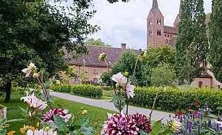 Die Dahlie soll auf der LGS in Höxter in den nächsten Wochen in Szene gesetzt werden. - LGS