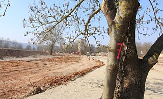 Weil die in den Augen der Initiative ihre Fragen von der Stadt nicht beantwortet wurden, befasst sich nun das Verwaltungsgericht mit dem Thema. - burkhard battran