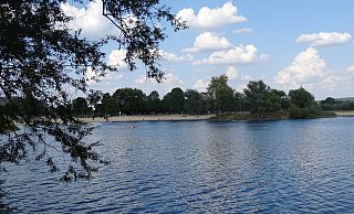 Die Stadt Höxter warnt vor Blaualgen am Godelheimer See. - Moritz Räker