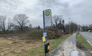 Das 12.000 Quadratmeter große Grundstück liegt an der Babenhauser Straße, an der Bushaltestelle Thomashof, kurz hinter der Andreaskirche (im Hintergrund). - Ivonne Michel