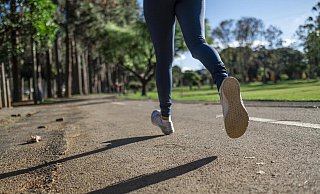 Die Joggerin habe sich losreißen und in Richtung Erdbeerweg weiterlaufen können. - Symbolbild: Pixabay