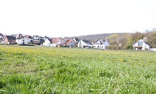 Auf dieser Fläche soll das neue Wohngebiet entstehen. Im Hintergrund ist der Alte Kirchweg zu sehen. - Björn Kenter