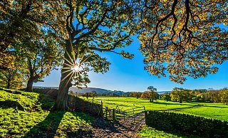 Die Sonne schien in diesem Jahr ungewöhnlich oft. Das hat Folgen für die Natur - und uns Menschen. - Pixabay