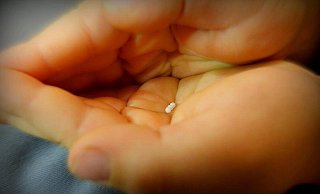 Die kleinen Kügelchen gegen Koliken wurden von der St. Christophorus-Apotheke in Paderborn entwickelt. - Pixabay