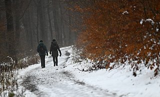Auch die letzten schneebedeckten Flächen werden am Wochenende verschwunden sein - das Thermometer steigt. - (c) Copyright 2022, dpa (www.dpa.de). Alle Rechte vorbehalten