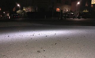 Unbekannte warfen Hunderte Reißzwecken auf die Straße Ehlentruper Weg – zwischen Fröbel- und Diesterwegstraße. - privat