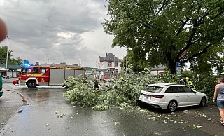Als die Mutter in ihrem Audi A4 Avant in der Parklücke an der Kurfürstenstraße auf ihren Sohn wartete, kamen Teile eines Baumes herunter und prallten auf das Fahrzeug. - Claus Frickemeier