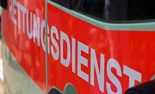 Der Autofahrer verletzte sich bei dem Unfall schwer. - Pixabay