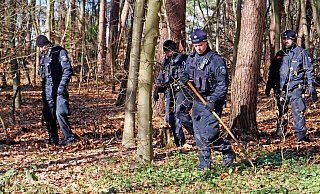 Polizisten der Einsatzhundertschaft durchstreifen den Wald am Habichtsee. - Ralph Meyer