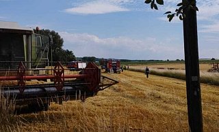Die Feuerwehr muss zu einem brennenden Stoppelfeld bei Brakel ausrücken. - Moritz Räker