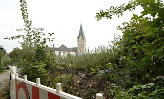 Der Geisselsche Garten in Paderborn ist durch den Tornado schwer in Mitleidenschaft gezogen worden. Inzwischen sprießt und wächst überall. Sollen diese Pflanzen erhalten bleiben oder umgestaltet werden? - Lena Henning