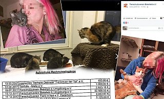Das Tierheim Bielefeld übernahm 39 der Tiere. Entsprechend hoch waren dort die Kosten. - Fotos: privat, Facebook / Montage: Thomas Grundmann