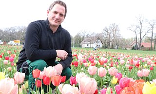 Benedikt Roeren-Wiemers inmitten der Tulpen, die derzeit auf dem Feld an der B64 kurz hinter Schloß Neuhaus blühen. - Holger Kosbab