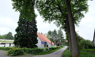 Der schmale Wiesenpfad in Mastbruch wird zu einer verkehrsberuhigten Straße ausgebaut. - Hans-Hermann Igges