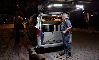 Auf der Suche nach dem Täter waren auch Polizeihunde beteiligt. - Ilja Regier