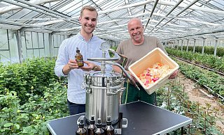 Zwischen den Rosen-Reihen im Gewächshaus stehen Till (l.) und Heiner Schwagmeier in einem der Gewächshäuser der Gärtnerei. Die Destille ermöglicht es, aus Rösenblütenblättern eine Essenz für das Rosenwasser herzustellen, das seit einiger Zeit im Hofladen angeboten wird. - Natalie Gottwald
