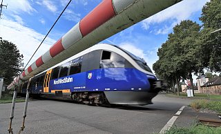 Die RB 74 (Sennebahn) der Nordwestbahn fährt zwischen Paderborn und Bielefeld. - David Schellenberg
